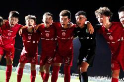 雷速体育电脑版官网-关于职业足球联赛战局激烈，各队奋勇争先的信息