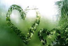 雷速体育网页版-红牛车队碾压索伯车队，诺里斯刷新纪录